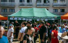 DSC08002