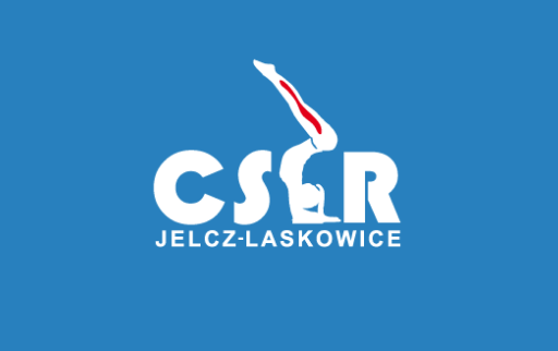 logo csir