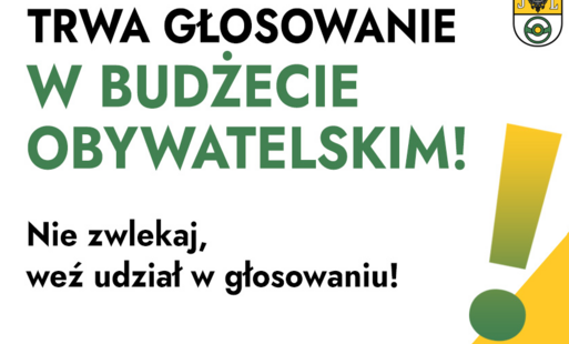 Zdjęcie do Głosowanie w Budzecie Obywatelskim - czas start!