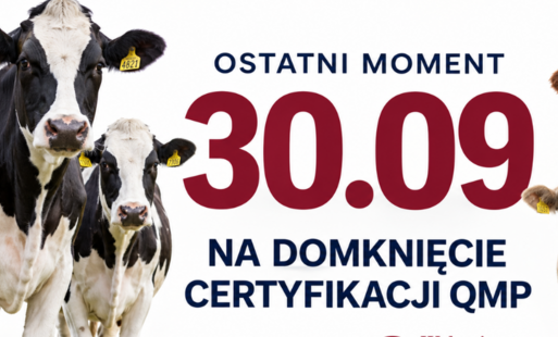 Zdjęcie do Upływa termin uzyskania Certyfikatu QMP