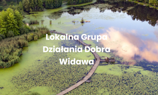 Zdjęcie do Zgłoś pomysł na działania ekologiczne